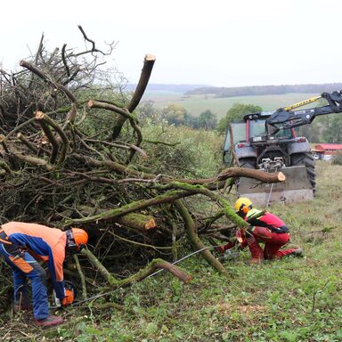 Mitarbeiter der Firma Klahold, Forst&Holz aus Vellmar haben damit begonnen Kalkmagerrasenflächen bei Liebenau von Gestrüpp zu befreien.