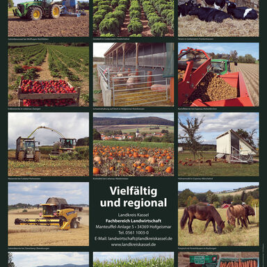 Landwirtschaft im Landkreis Kassel – Vielfältig und regional